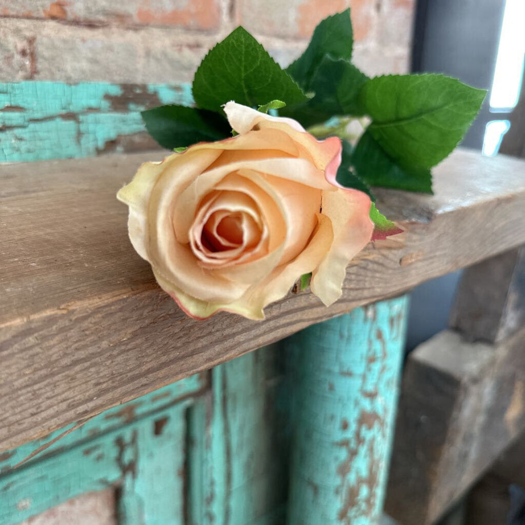 PEACH ROSE BUD STEM