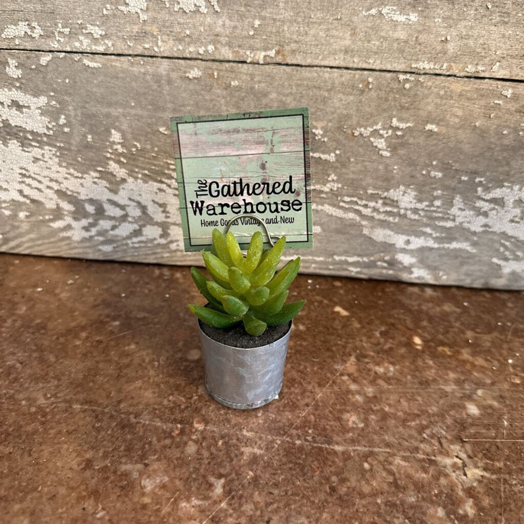 SUCCULENT PLACE CARD HOLDER