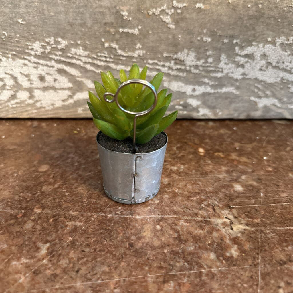 SUCCULENT PLACE CARD HOLDER