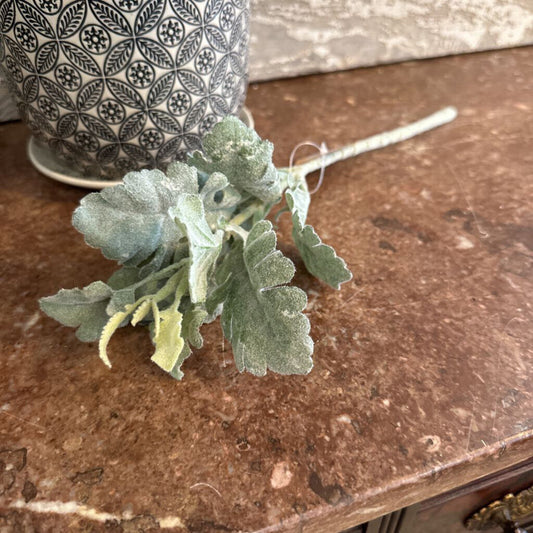 DUSTY MILLER STEM