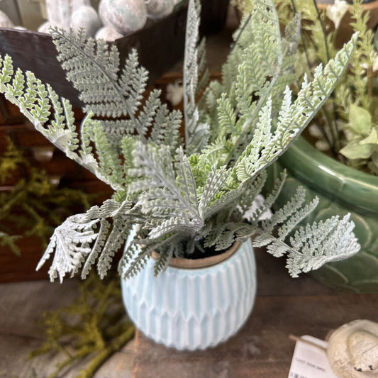 PAPER POTTED FERN