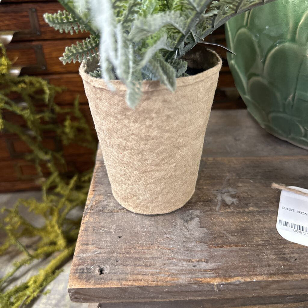 PAPER POTTED FERN