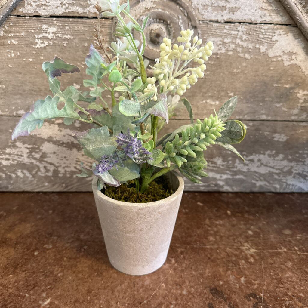 CEMENT POTTED FLORAL