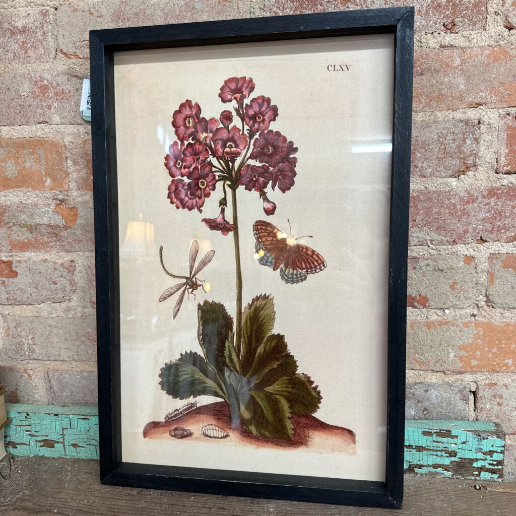 HARDIN BOHEMIA BOTANICAL PRINT