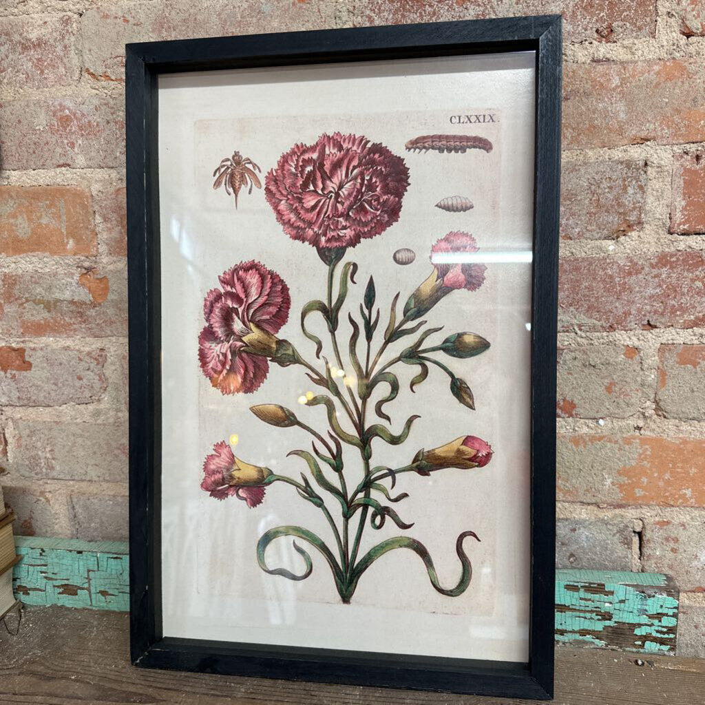 HARDIN BOHEMIA BOTANICAL PRINT