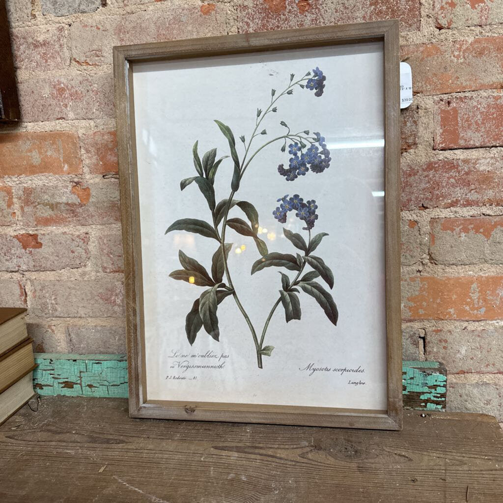 BLUE BOTANICAL FRAMED PRINT