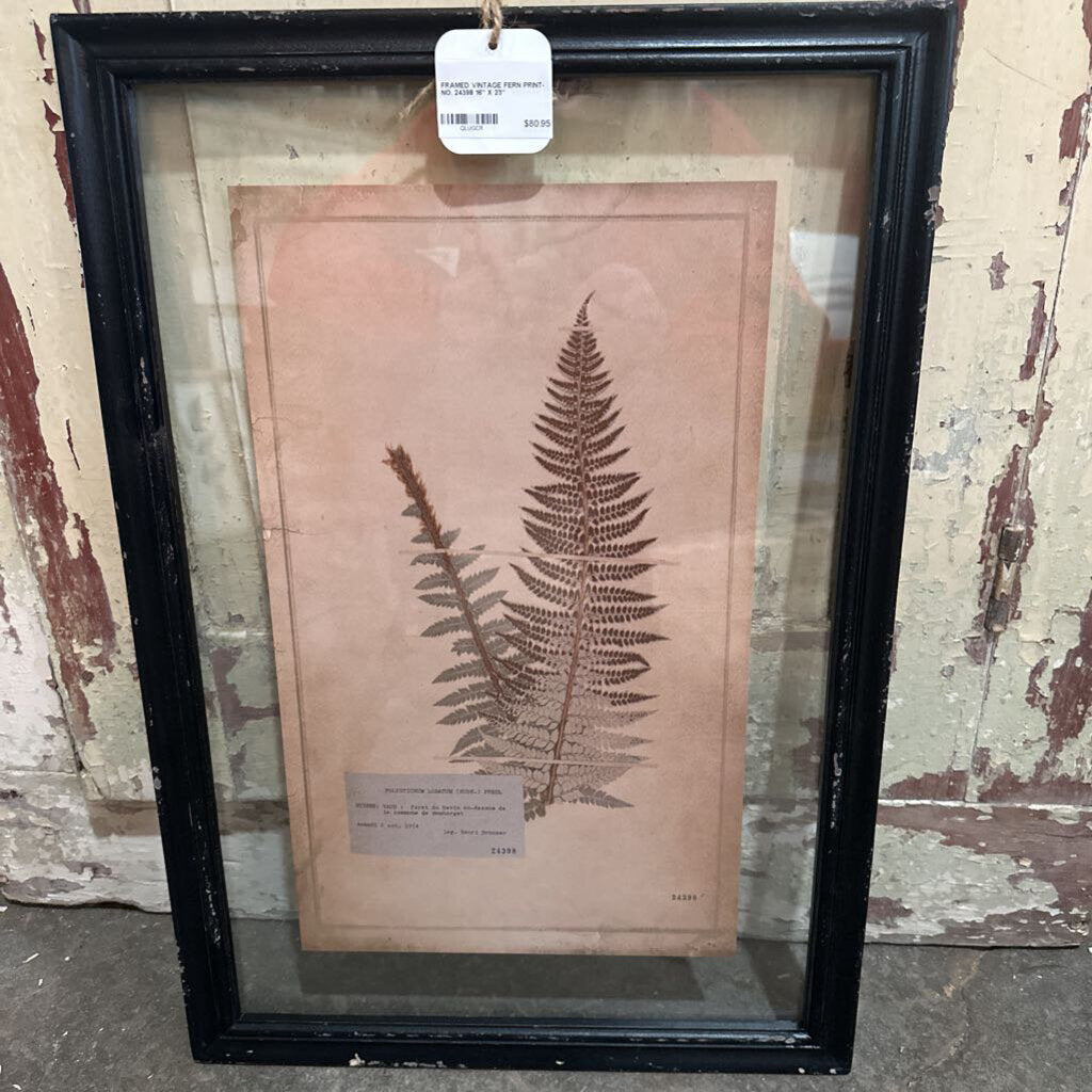 FRAMED VINTAGE FERN PRINT