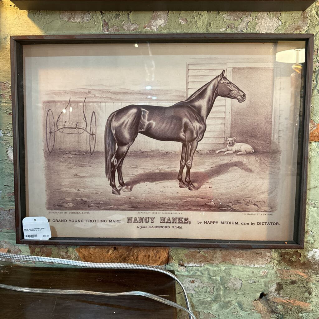 RACE HORSE FRAMED PRINT