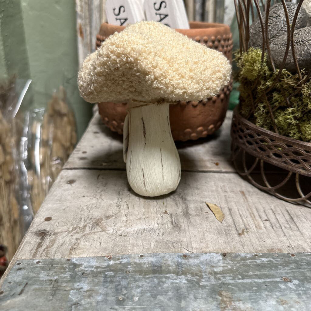 FUZZY MUSHROOMS