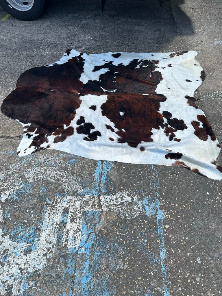 BRAZILIAN COWHIDE RUG