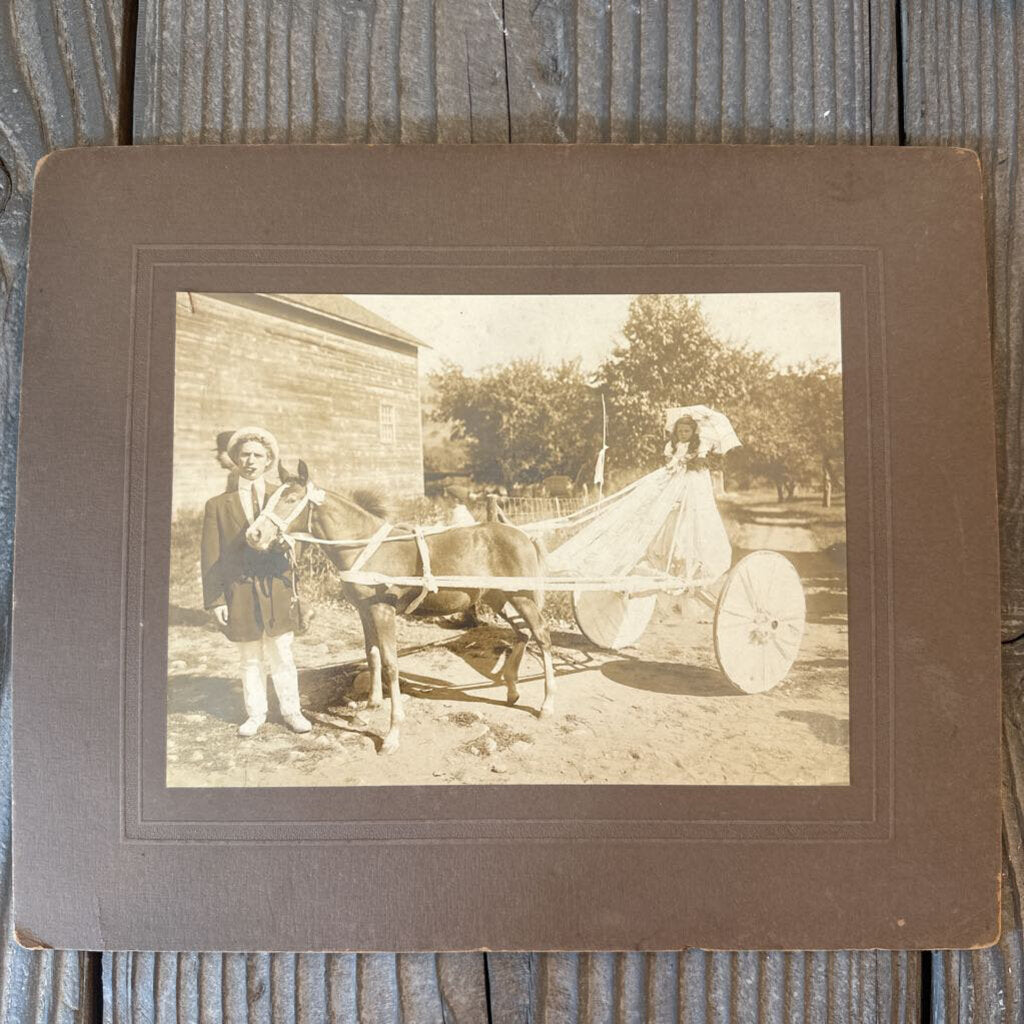 PHOTO CARD OF GIRL WITH HORSE AND BUGGY