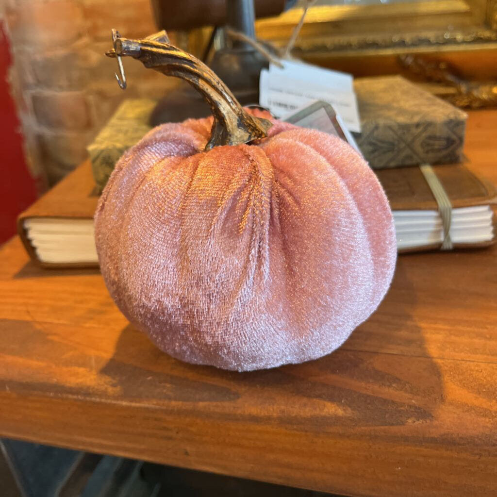 VELVET PUMPKINS