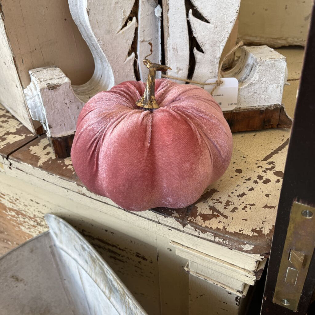 VELVET PUMPKINS