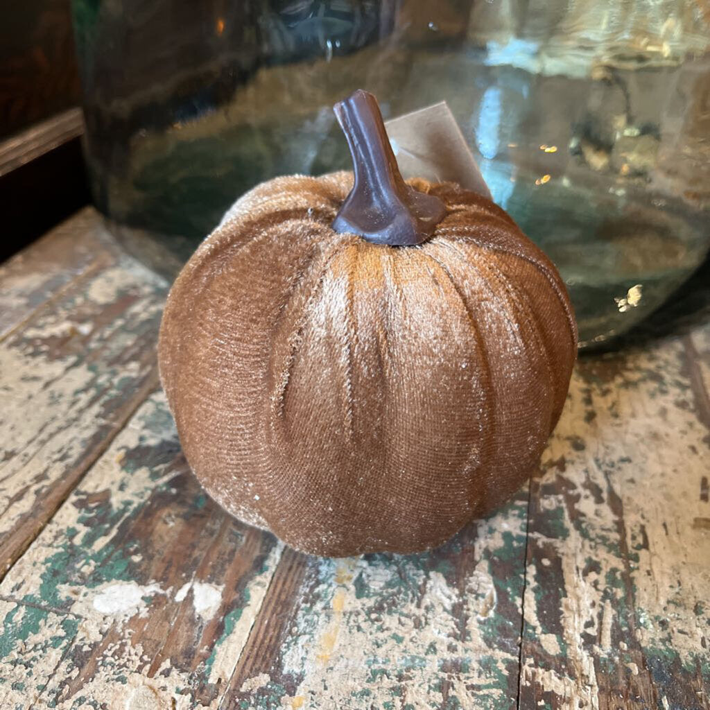 VELVET PUMPKINS