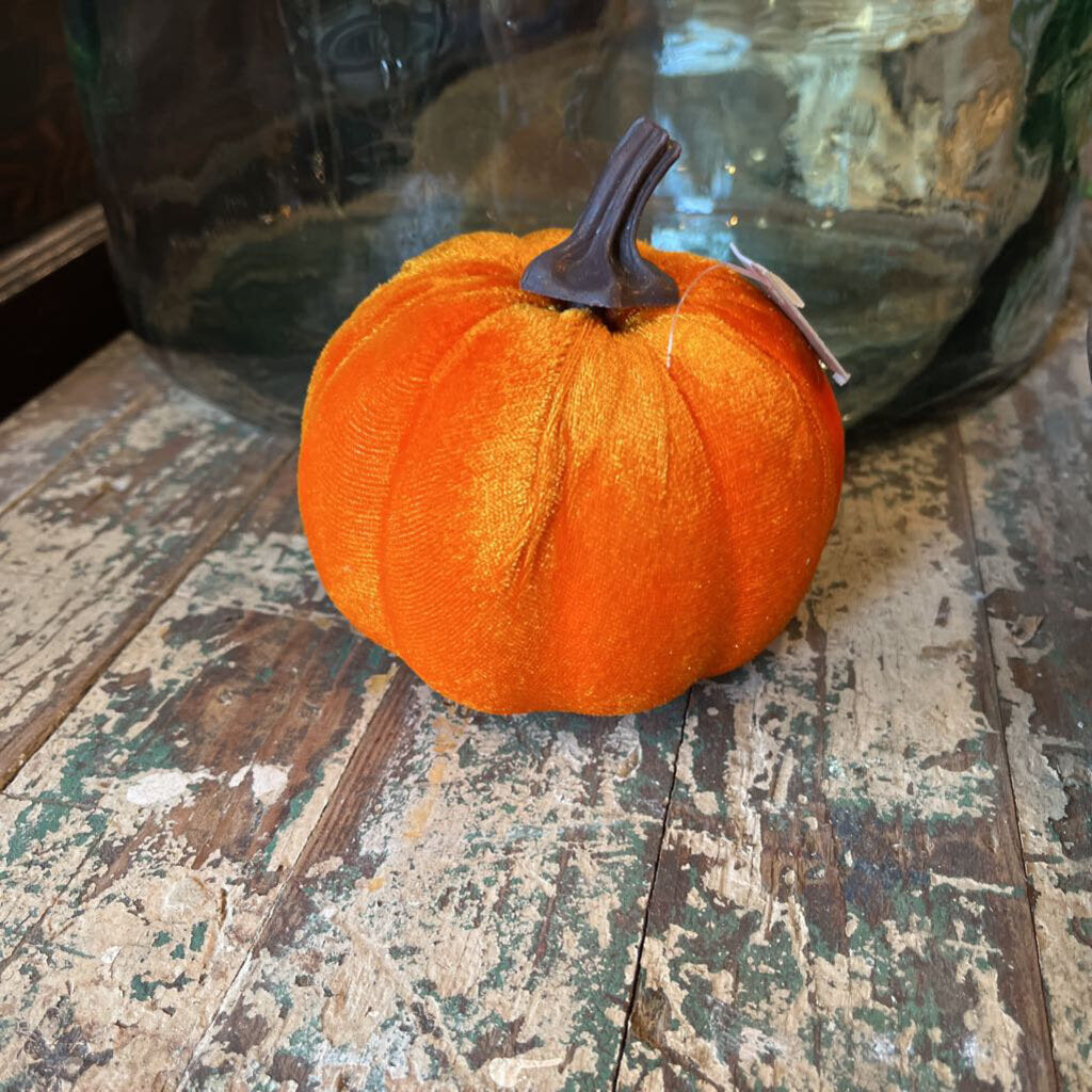 VELVET PUMPKINS