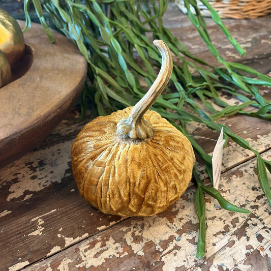 TEXTURED VELVET PUMPKIN