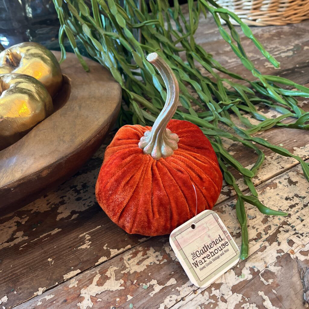 LONG STEM VELVET PUMPKIN