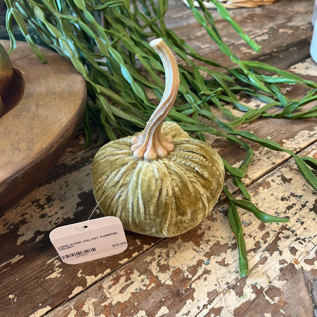 LONG STEM VELVET PUMPKIN