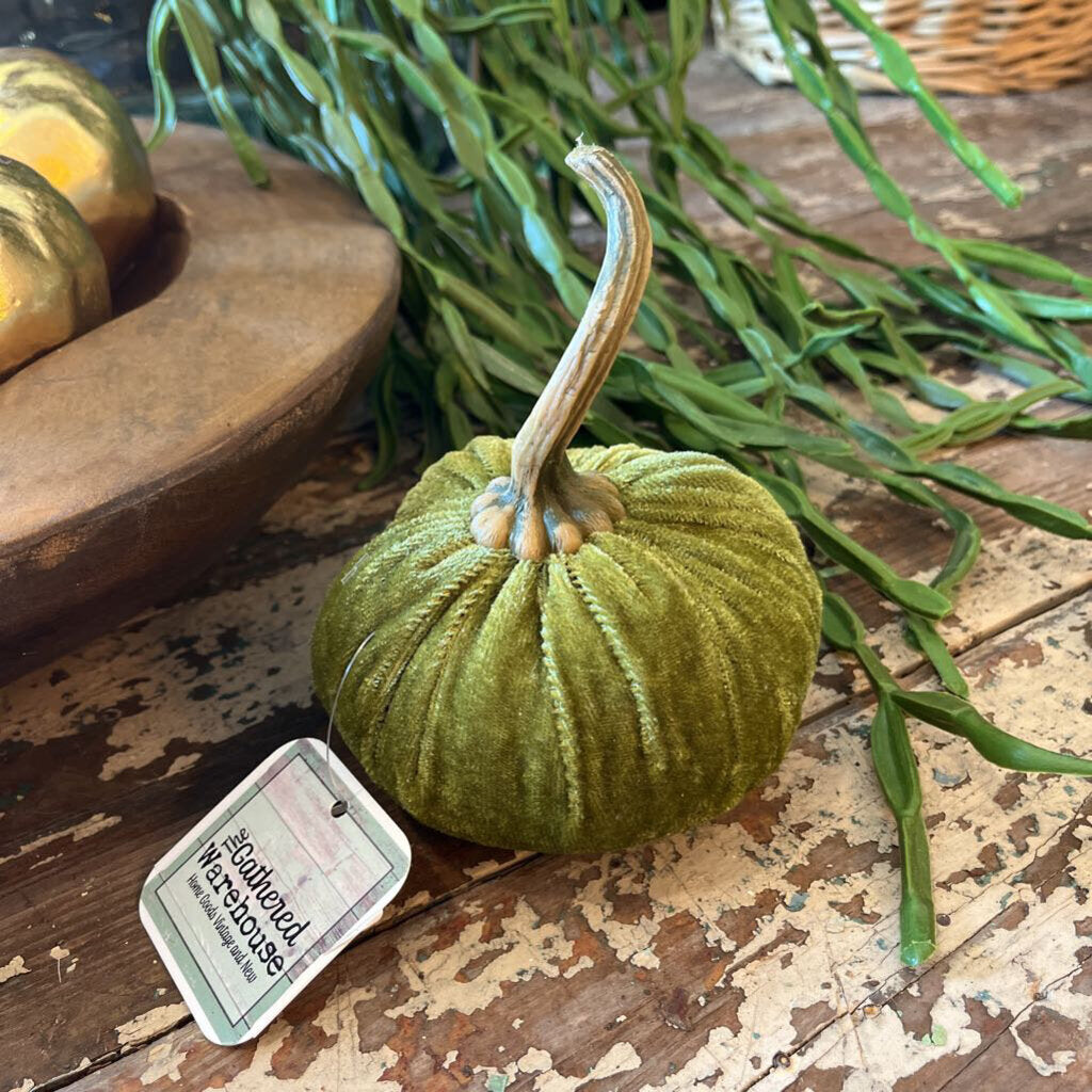 LONG STEM VELVET PUMPKIN