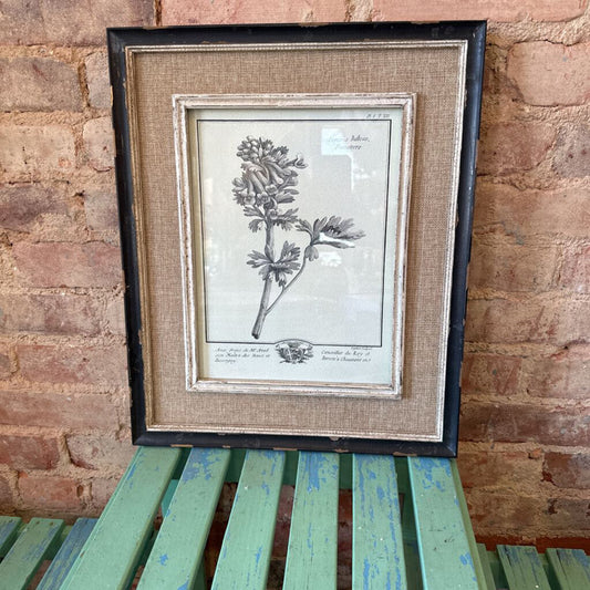 BOTANICAL WITH DISTRESSED FRAME