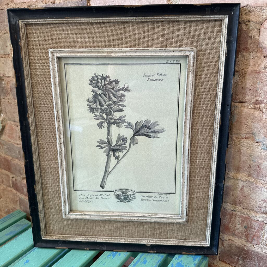 BOTANICAL WITH DISTRESSED FRAME