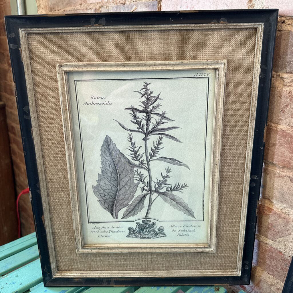 BOTANICAL WITH DISTRESSED FRAME