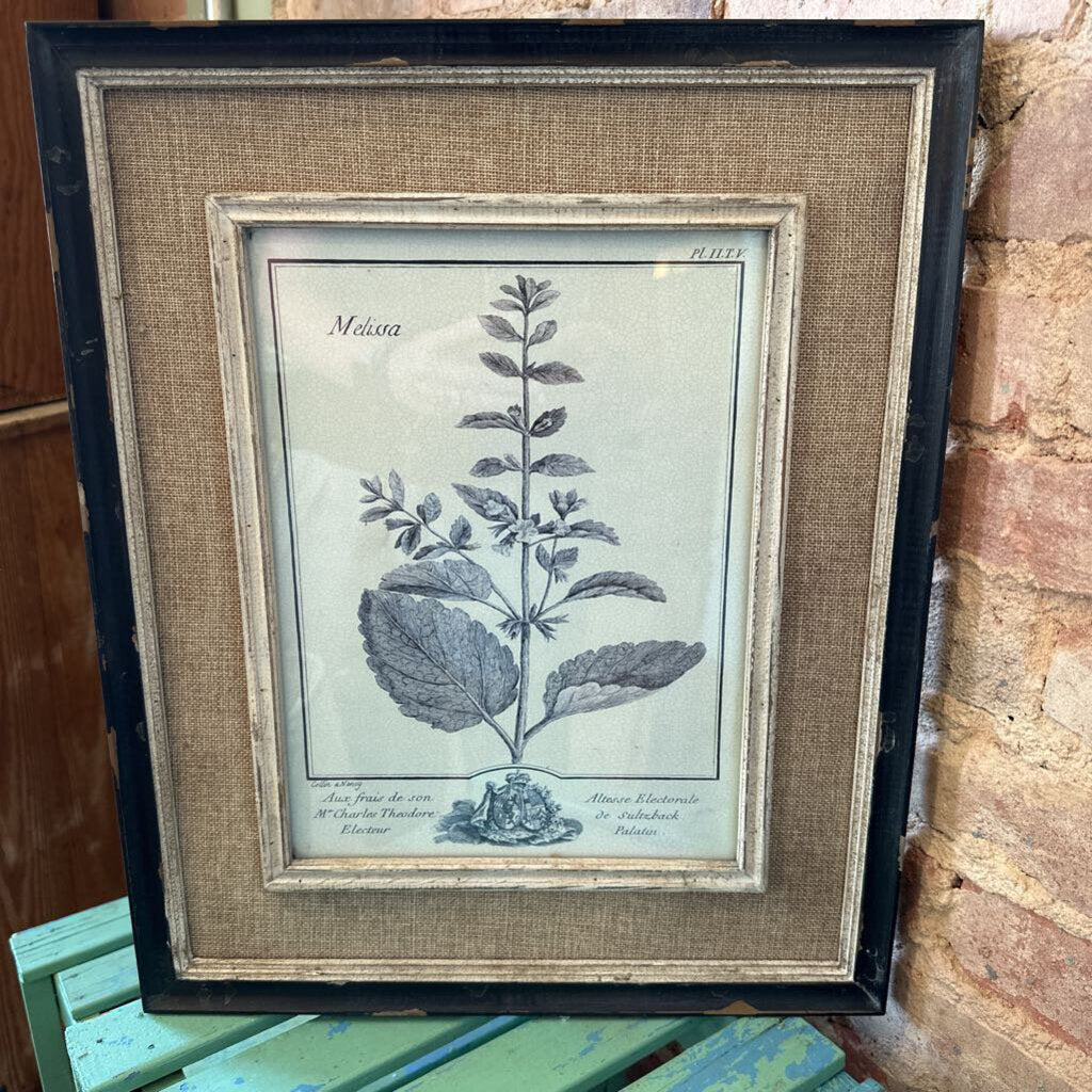 BOTANICAL WITH DISTRESSED FRAME