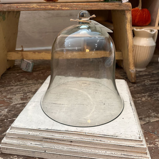 BELL GLASS CLOCHE