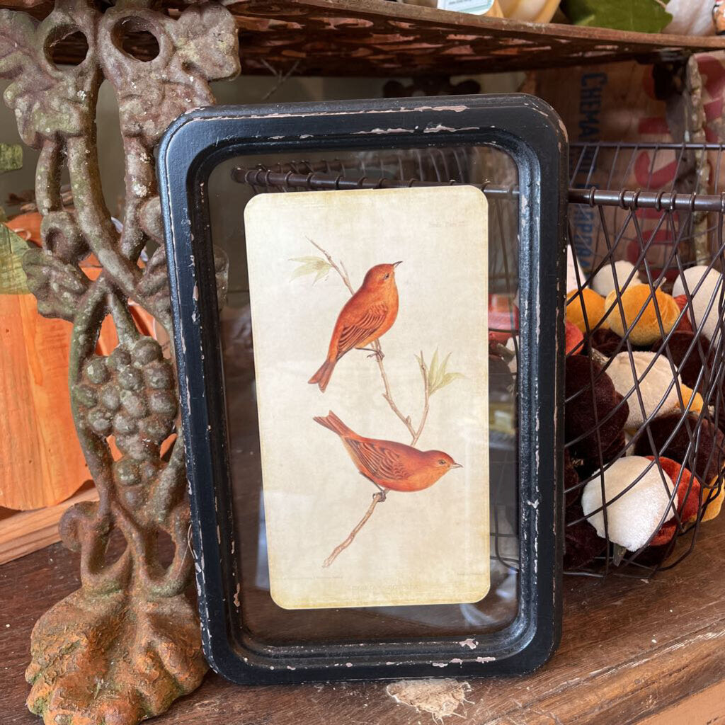 PÁJAROS FLOTANTES DE MADERA ENGANCHE