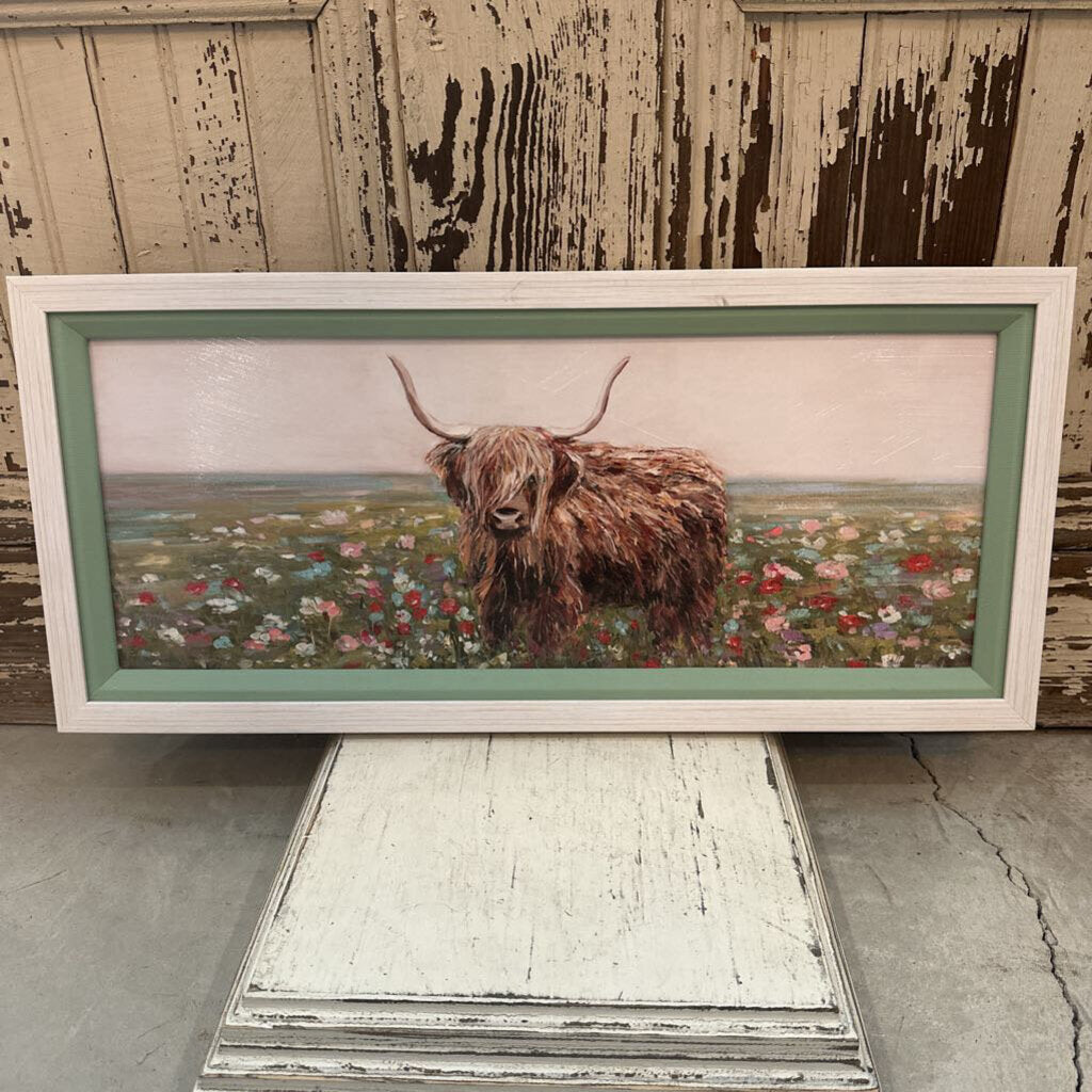 HIGHLAND COW IN FIELD OF FLOWERS