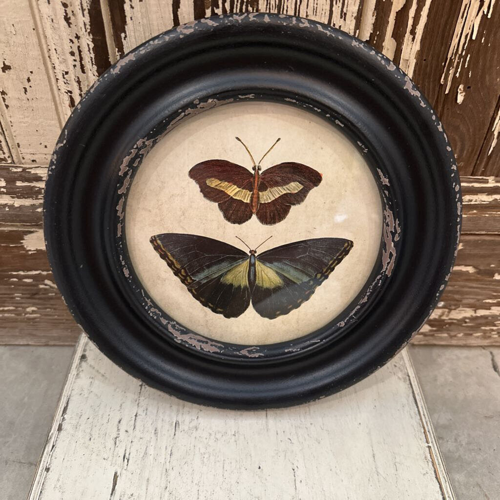 FRAMED WALL DECOR WITH MOTHS/BUTTERFLIES