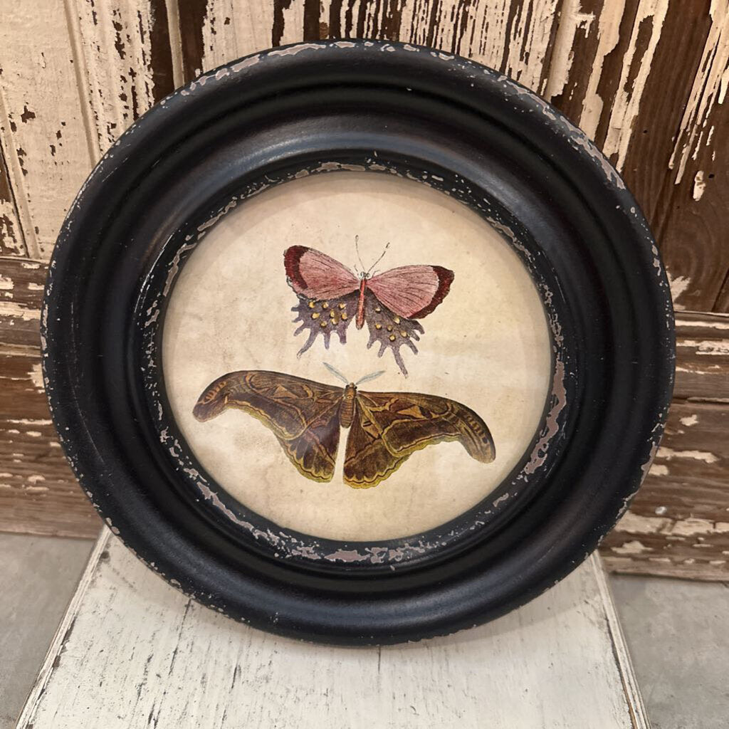 FRAMED WALL DECOR WITH MOTHS/BUTTERFLIES