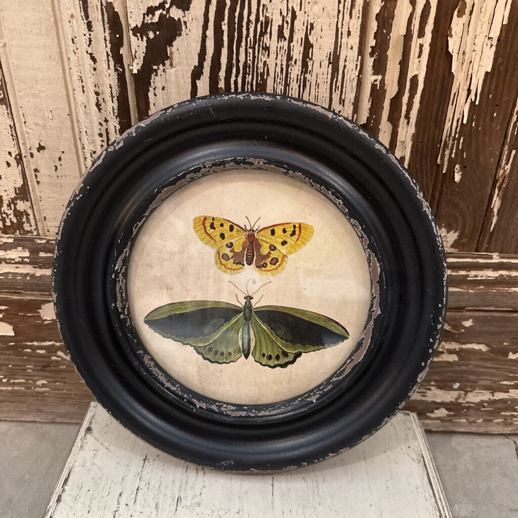 FRAMED WALL DECOR WITH MOTHS/BUTTERFLIES