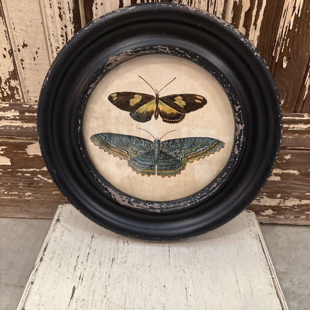 FRAMED WALL DECOR WITH MOTHS/BUTTERFLIES