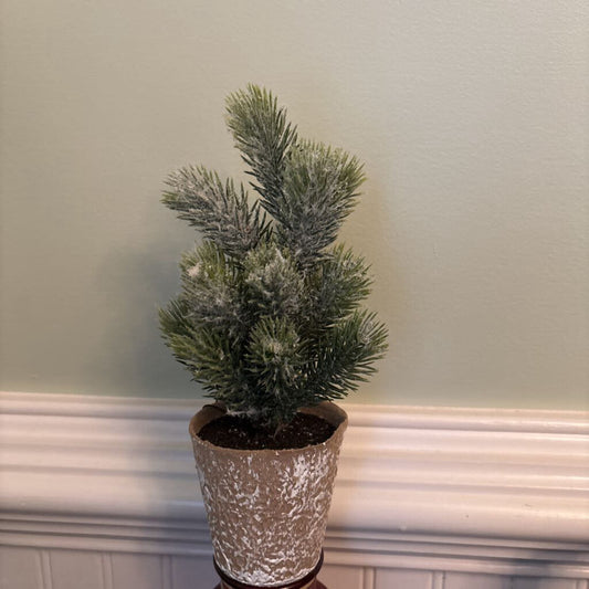 PAPER POTTED FLOCKED PINE TREE