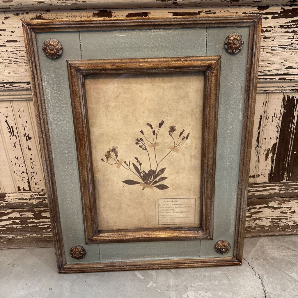 FRAMED BOTANICAL PRINT