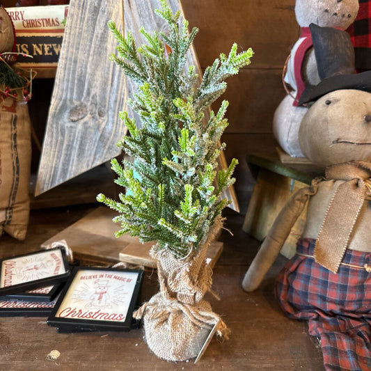 FLOCKED TREE IN BURLAP