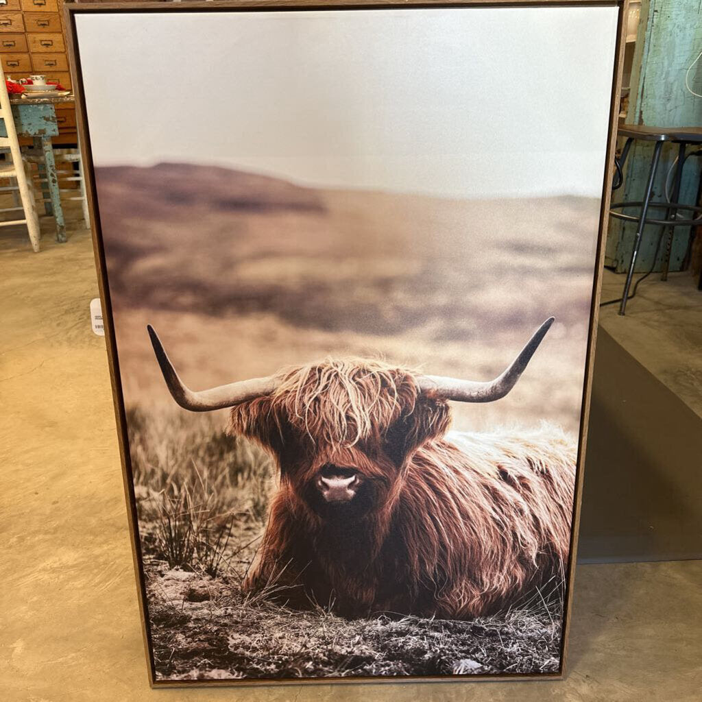 HIGHLAND COW CANVAS IN FRAME