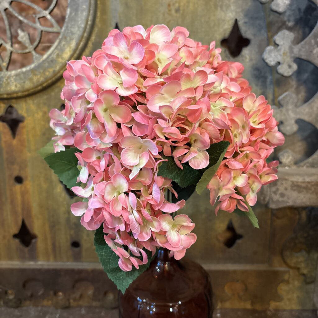 HYDRANGEA BUNDLE