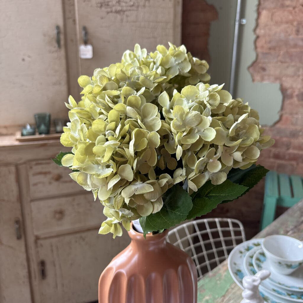 HYDRANGEA BUNDLE