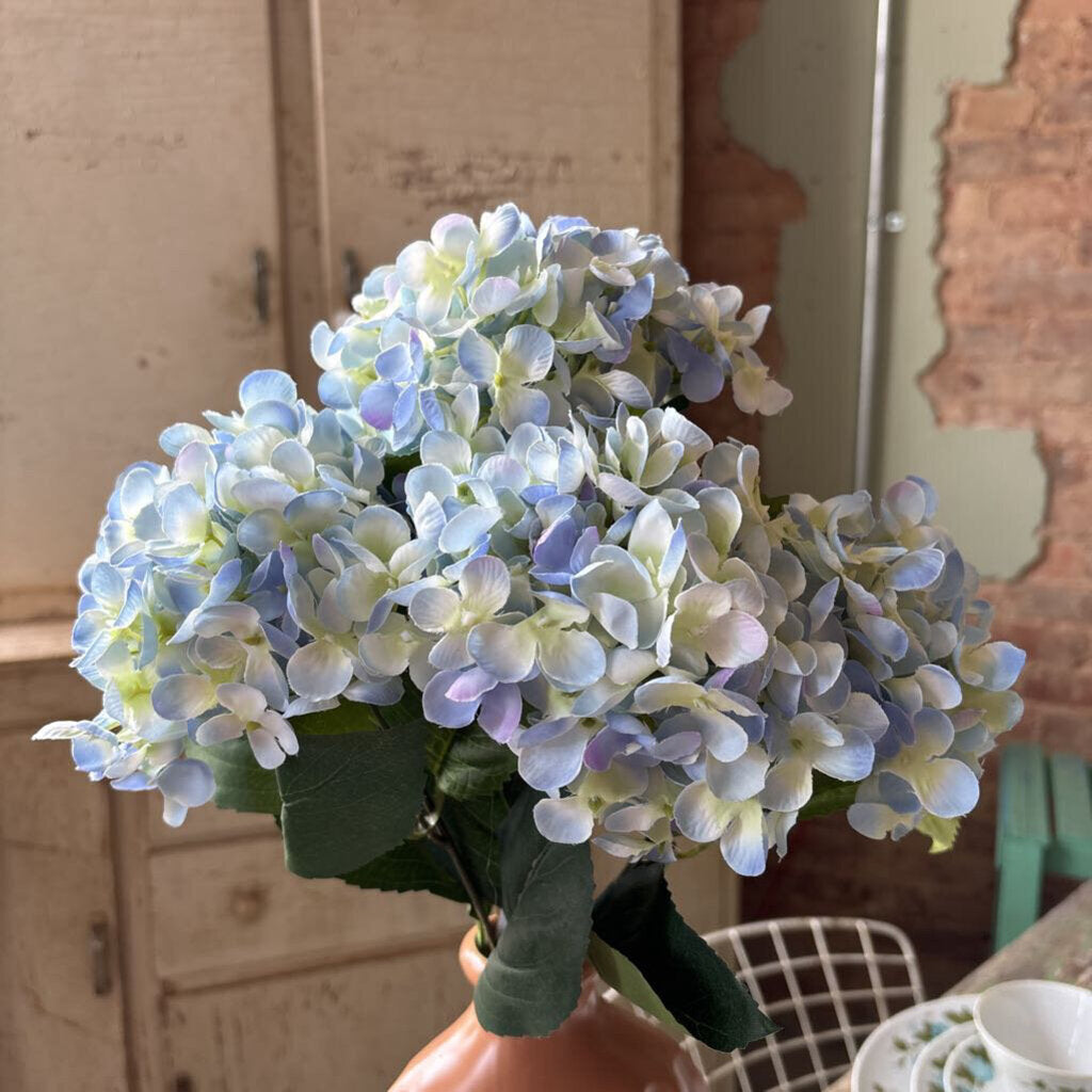 HYDRANGEA BUNDLE