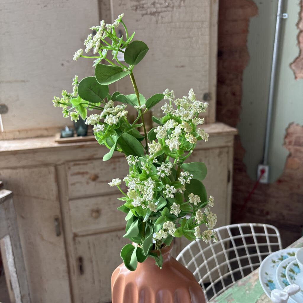 QUEEN ANNE'S LACE STEM