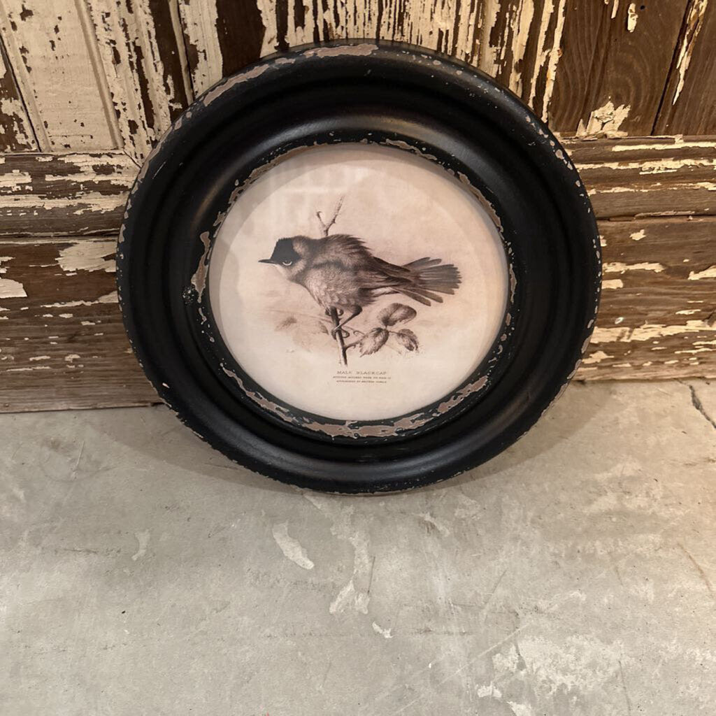 MDF ROUND FRAME BIRD PRINT