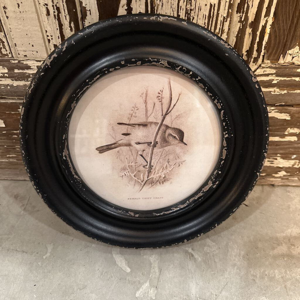 MDF ROUND FRAME BIRD PRINT
