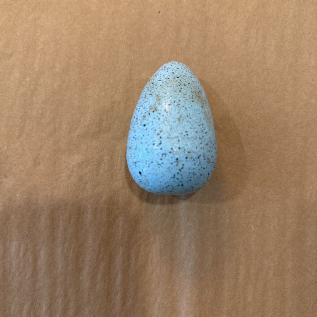 CAST IRON EGG