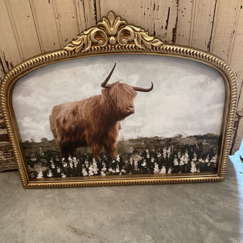 FRAMED HIGHLAND COW IN FIELD