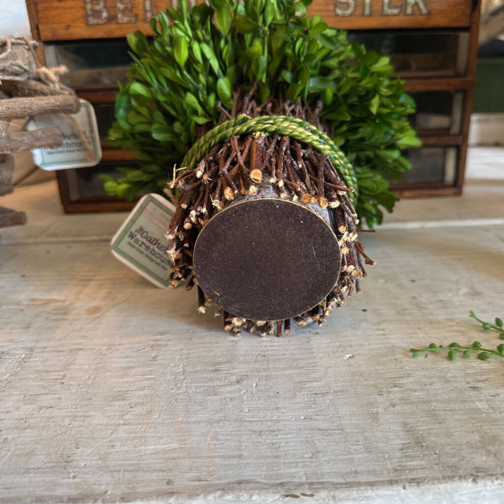 PRESERVED REAL BOXWOOD TOPIARY