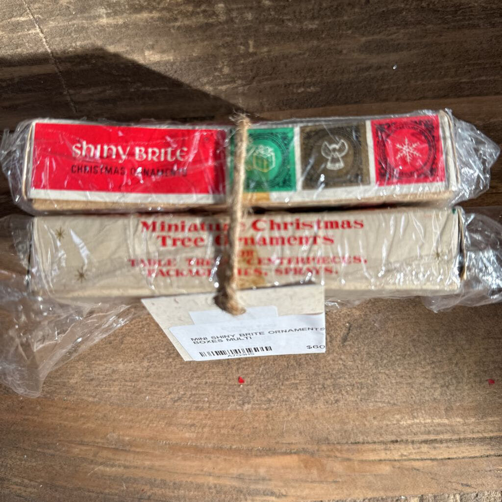 MINI SHINY BRITE ORNAMENTS IN BOXES