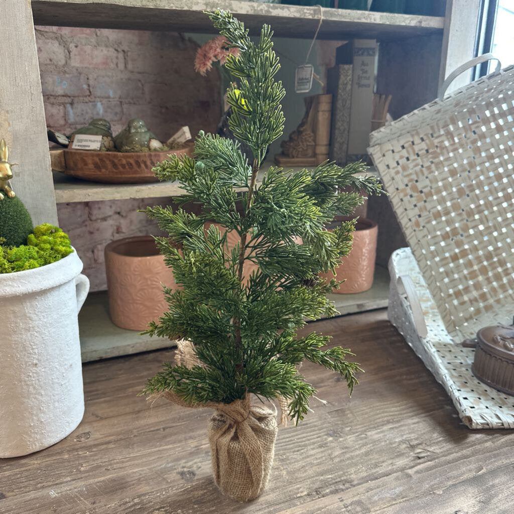 MINI PINE TREE
