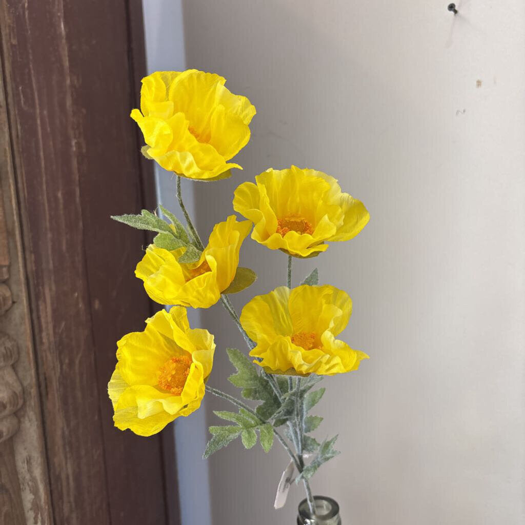 POPPY